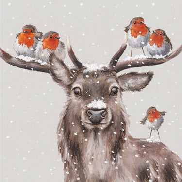 Wrendale Luxury Boxed Cards - Festive Friends (Stag and Robin)
