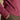 Joules Rutland Pink Intarsia 4x4 Knitted Jumper