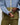 Cotopaxi Men's Cielo Rain Jacket in Tempest and Moss