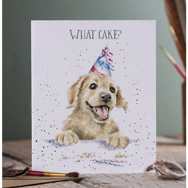 Wrendale Designs 'What Cake?' Labrador Birthday Card