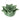 CANDLELIGHT GREEN LOTUS FLOWER TEALIGHT HOLDER