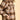 Brakeburn Women's Elowen Shacket in Brown