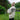 JM Cooper Knitwear Aran Sheep Scene Wool Jumper