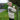 JM Cooper Knitwear Aran Sheep Scene Wool Jumper