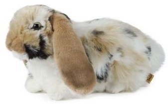 Living Nature Babies - Brown Dutch Lop Ear