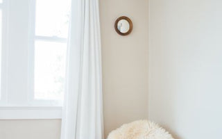 How To Clean A Sheepskin Rug