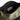 Hunter Claymorie Nylon Sling Crossbody Bag