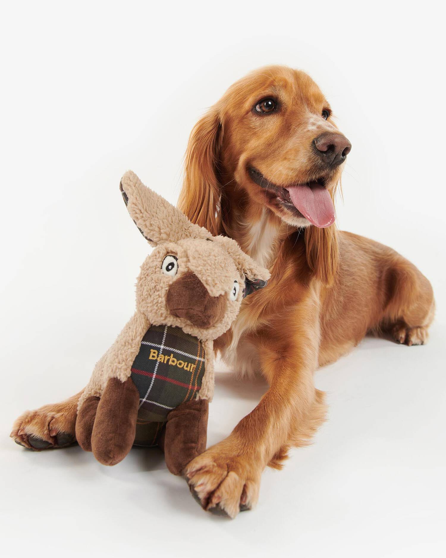 Barbour Rabbit Dog Toy Rabbit | Anna Davies
