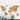 Corkboard World Map
