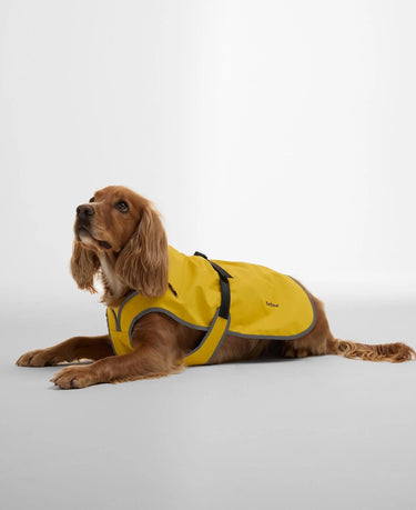 Barbour Evie Waterproof Dog Coat in Limeade