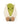 JELLYCAT AMUSEABLES HORATIO PISTACHIO A6PST