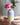 Glosters Handmade Ceramic Milk Bottle Vase in Coral Pink