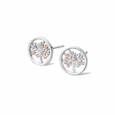 Clogau Tree of Life Stud Earrings