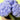 Jellycat Amuseables Hydrangea Soft Toy