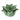CANDLELIGHT GREEN LOTUS FLOWER TEALIGHT HOLDER