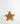 Barbour Starfish Dog Toy