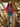 Brakeburn Tempest Cardigan in Pink