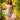 Brakeburn Cream Secret Garden Midi Dress