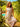 Brakeburn Cream Secret Garden Midi Dress