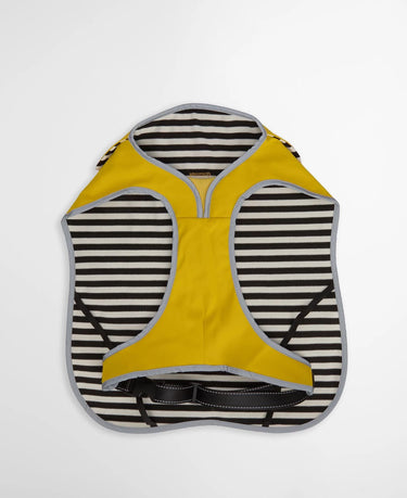 Barbour Evie Waterproof Dog Coat in Limeade