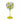 Richard Lang Citrus and Cheers Lemons Gin Glass