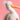 Jellycat Keli Pelican Soft Toy