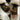 Black & Beech Do No Harm Take No Shit Wrist Warmers – Kelp
