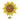 Enesco Bee Sunflower Clock