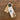 Alex Clark Moon and Back Rabbit Magnetic Pad
