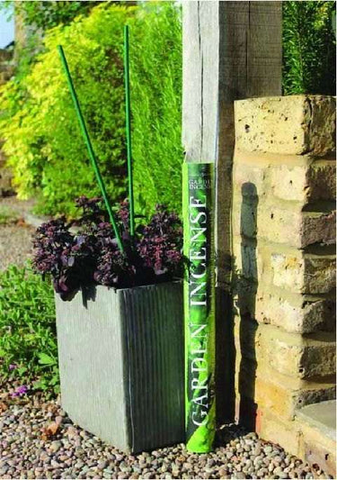 Ashleigh & Burwood Giant Garden Incense Sticks