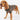 Barbour Case Fair Isle Dog Jumper
