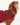Barbour Monmouth Waterproof Dog Coat