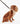 Barbour Tartan Dog Lead - Classic