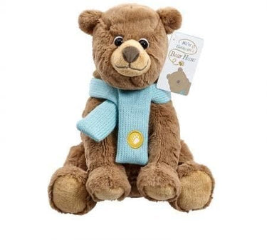 Bear Hunt Soft Toy