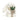 Cream Bunny with Plant Decorative Ornament
