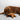Barbour Starfish Dog Toy