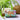 Anniversary Tropical Coconut Soap
