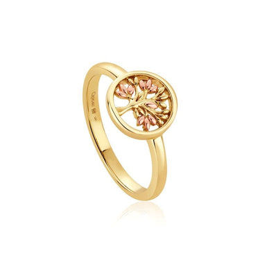 Clogau Gold Tree of Life Circle Ring