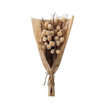 Dried Thistle Bundle In Paper Wrap Various Colours