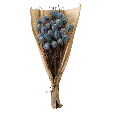 Dried Thistle Bundle In Paper Wrap Various Colours