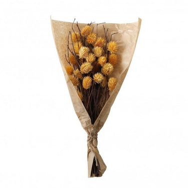 Dried Thistle Bundle In Paper Wrap Various Colours