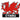 Epoxy Dragon Fridge Magnet Cymru