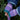 Black & Beech Book Worm Mittens – Violet & Calamine