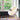 Genuine Natural Large Sheepskin Rug (95cm+)