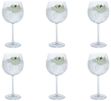 Gin Copa Glasses (6 pk)