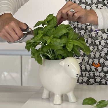 Herdy Planter