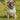 Heritage Hounds Check Dog Collar & Lead Set