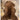 J&J Natural Brown Sheepskin XL Rug
