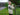 JM Cooper Knitwear Aran Sheep Scene Wool Jumper