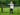 JM Cooper Knitwear Aran Sheep Scene Wool Jumper